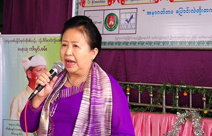 Nan Kain Paung Tit, USDP candidate