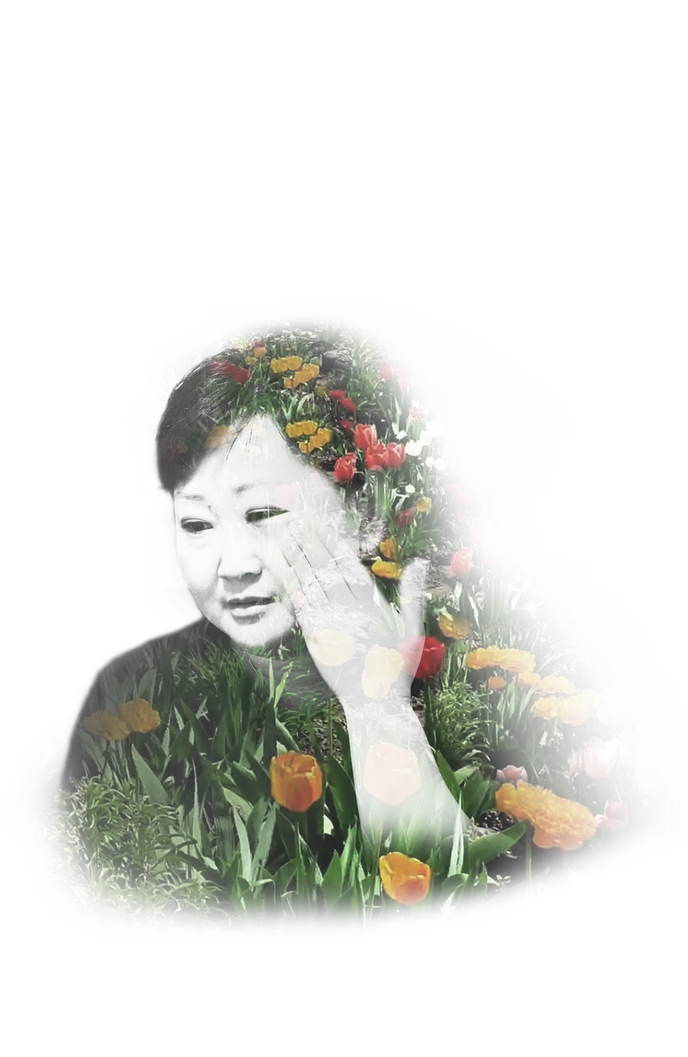 elena-ahn