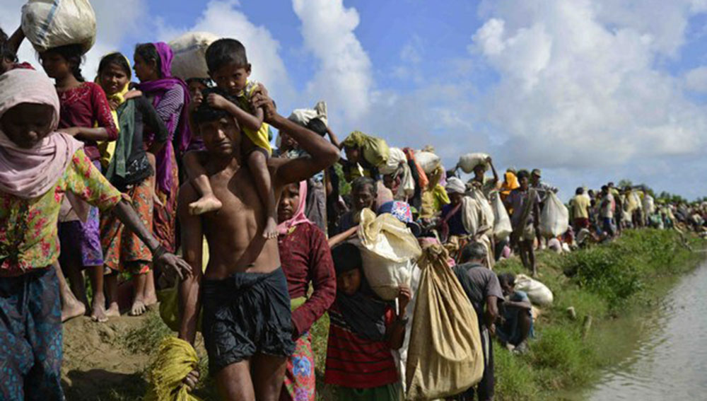 Rohingya refugees enter southeastern Bangladesh via a path between rice paddies in Teknaf, Cox’s Bazar district, Oct. 10, 2017. Photo: Abdur Rahman/BenarNews 