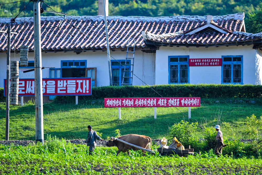 NK3_py882.6_img_15.jpg