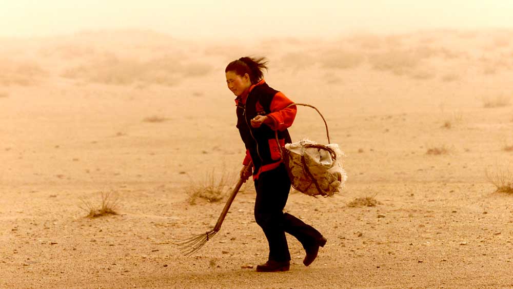 mongolia-4.jpg