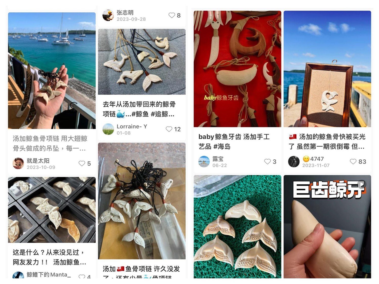 专栏| 绿色情报员：从被偷走的鲸骨到文玩圈抹香热– 普通话主页