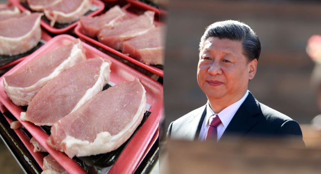 专栏| 夜话中南海：习近平的大国担当：中国缺猪引发世界肉荒– 普通话主页