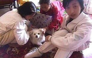 평양시 상류층 가정에서 키우고 있는 애완견. 다큐 '어떤나라'의 한 장면.