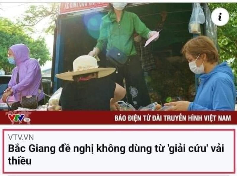 vai 2.jpg