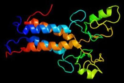 Cấu trúc protein của BRCA1 - nguyên nhân gây bệnh ung thư vú và ung thư buồng trứng. Wikipedia
