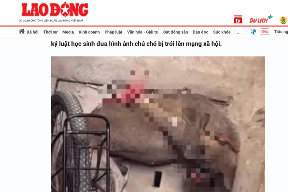 Hình chụp màn hình bài báo trên báo Lao Động ngày 20/3/2025