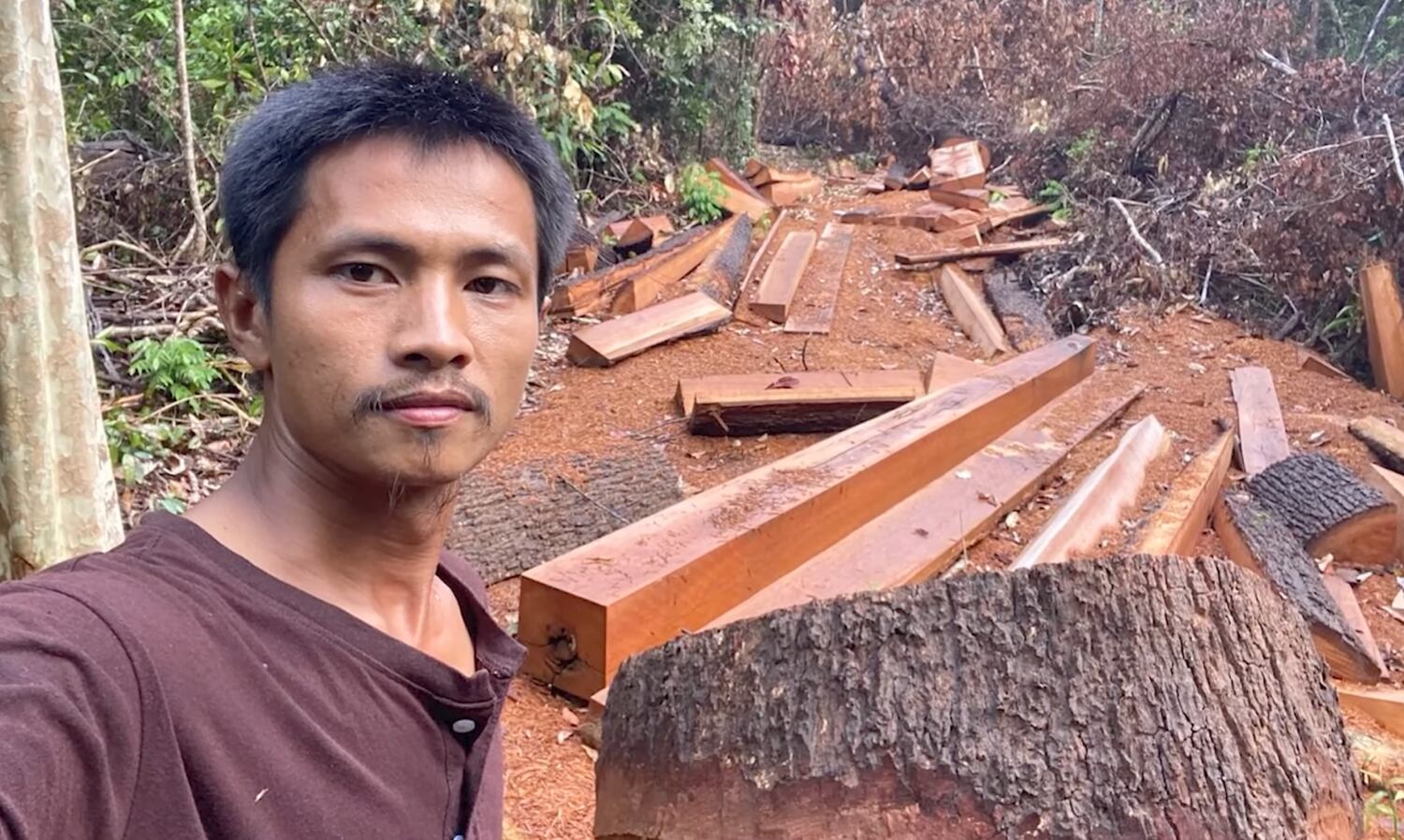 Activist records destruction of Cambodian ‘protected’ forest, tree by tree