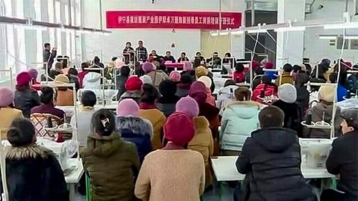 Xinjiang Labor Transfer Scheme Constitutes Crimes ...