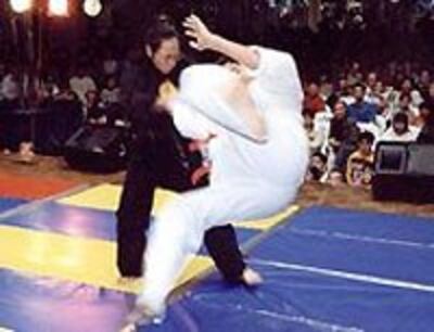 Hapkido200.jpg