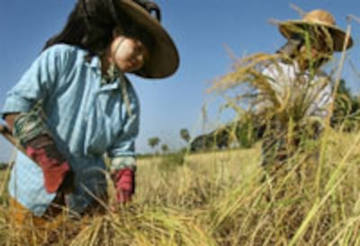 farmers_200px.jpg