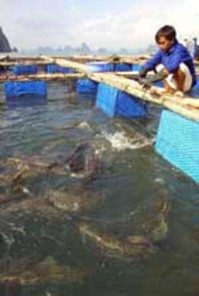 FishFarmer150.jpg