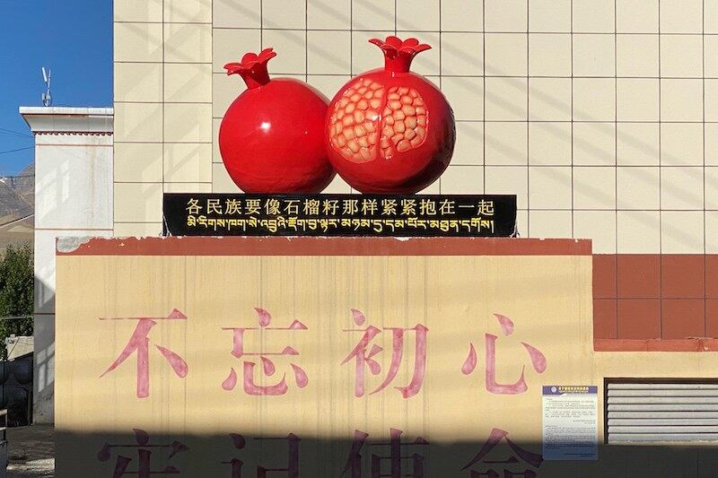 普兰县街头的红石榴。