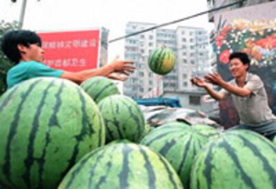 WaterMelonBJ200.jpg