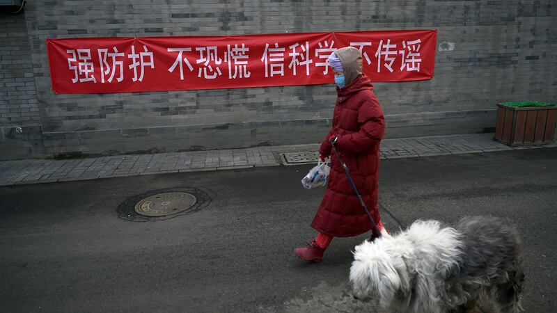 从SARS到新冠肺炎,中国的毛孩弃养潮随着疫情一触即发。(路透社)