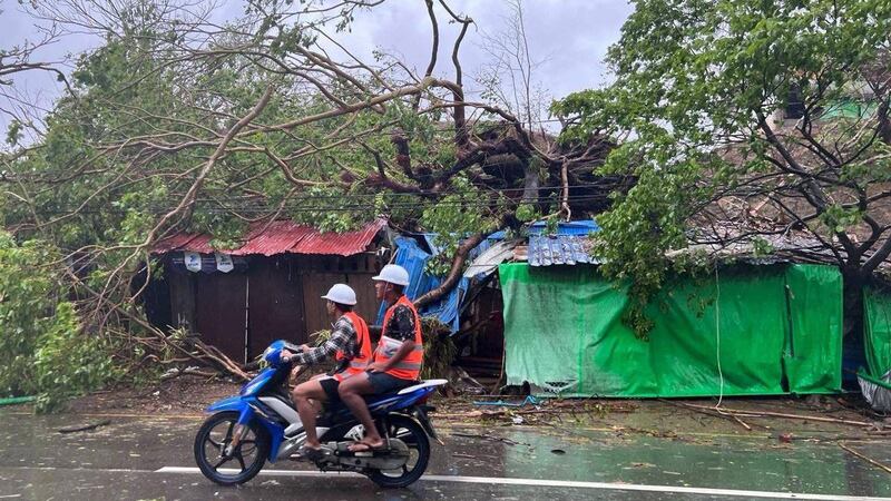 ရခိုင်ပြည်နယ်၊ မြောက်ဦးမြို့မှာ မိုခါဆိုင်ကလုန်းမုန်တိုင်းကြောင့် သစ်ပင်လဲကျနေသည်ကို ၂၀၂၃ ခုနှစ်၊ မေလ ၁၅ ရက်နေ့က တွေ့ရစဉ်။ (Photo: RFA)