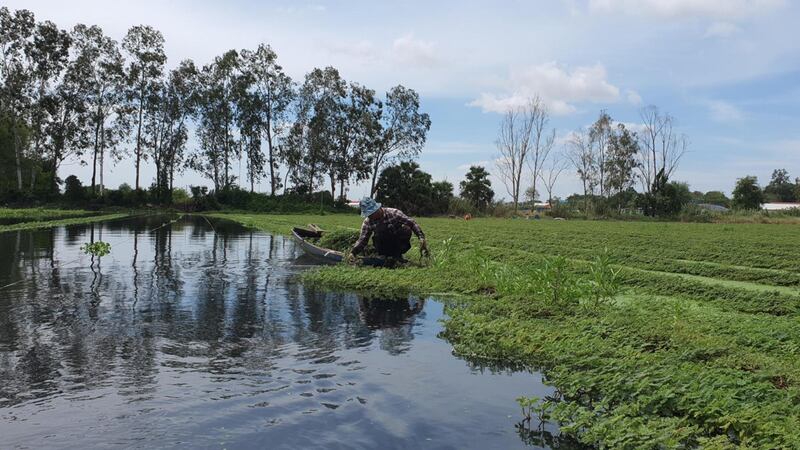 កញ្ឆែត បឹងទំពន់១.jpg