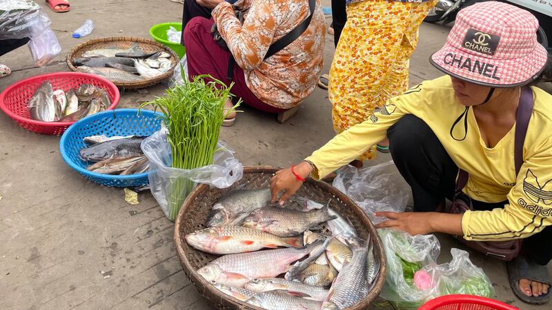 Fish_selling_in_market_052724VY_2.jpg