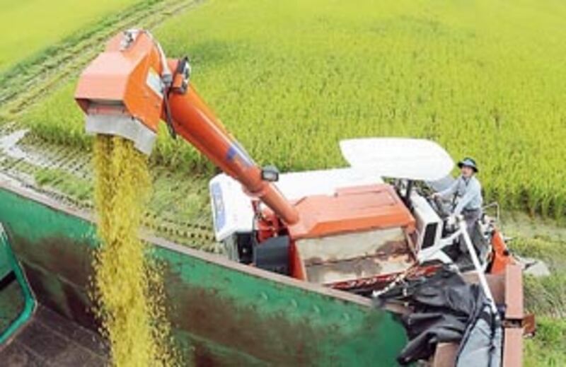 sk_agriculture_305