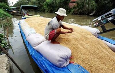 Lúa gạo được di chuyển trên sông Tiền Giang. AFP