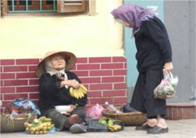 Tổ chức HAI tìm cách để người cao tuổi có cuộc sống tốt hơn. Hình do HAI cung cấp.