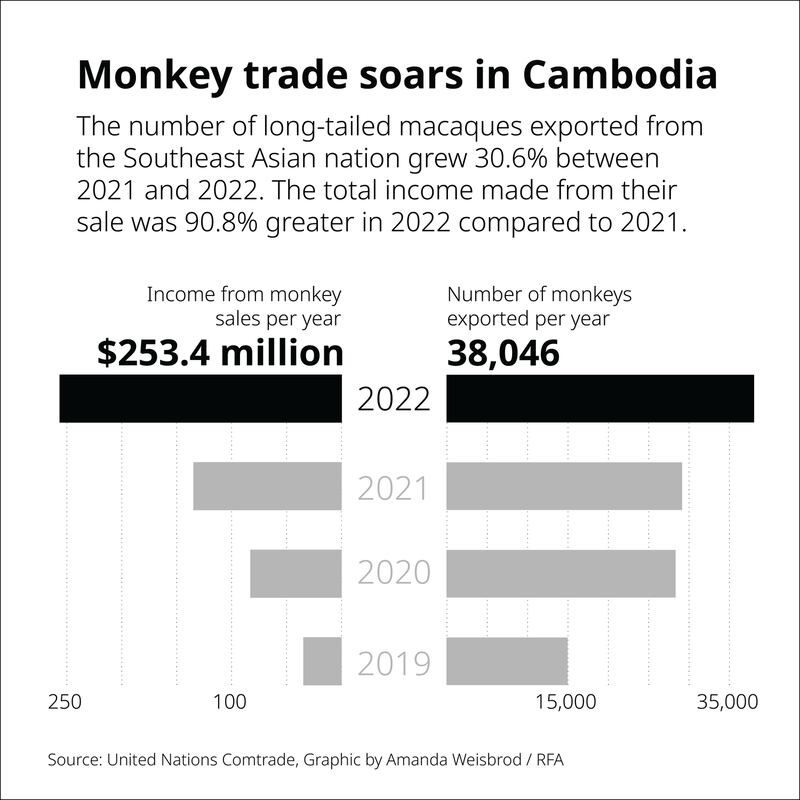 5 cd-monkey-trade_v004.png