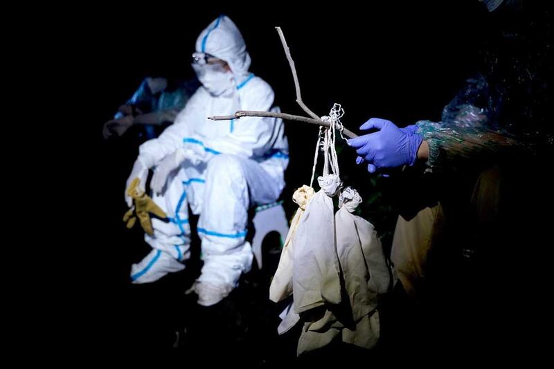 Captured bats in cloth bags are brought in for sampling. (Reuters)