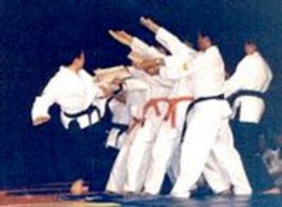 HapkidoPhamGiaCon200.jpg