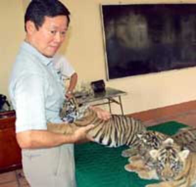 TigerEnvironment200b.jpg