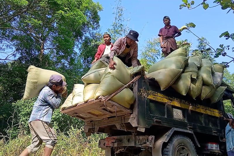 မိုးစပါးသစ်ပေါ်ချိန် စိုက်ပျိုးစရိတ်မကာမိလို့ တောင်သူတွေ အရှုံးပေါ်