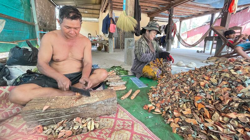 Prin_Hoeurn_is_chopping_and-wife_packaging_traditonal_medicinal_herbs_030525_provided_by_civilian.jpg