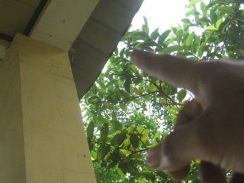 Mái nhà bị nứt do động đất tại Huyện Trà My. RFA PHOTO.