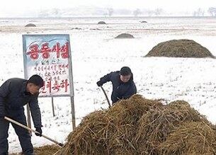 지난해 2월 3일 평양시 강동군 봉화협동농장 농장원들이 농업 생산성을 높이기 위한 준비를 하고 있다.