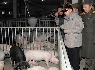 김정일 전 국방위원장이 북한군 제534부대 산하 '10월7일 돼지공장(양돈장)'을 현지지도하는 모습.