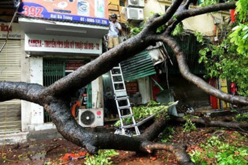 Cây gãy trên đường phố Hà Nội trong cơn bão vào ngày 28 tháng 7 năm 2016.