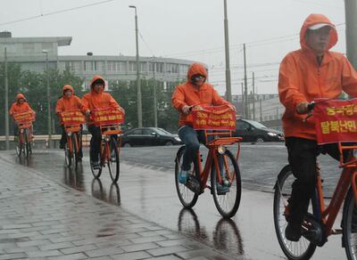 bike_netherlands1.jpg