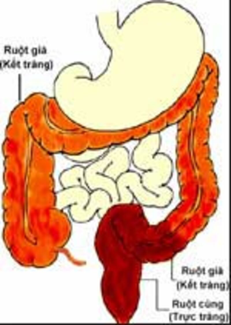 RuotGia150.jpg