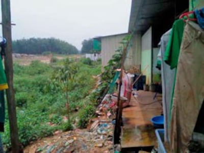 Phía sau khu vực nơi công nhân Việt ở là rừng