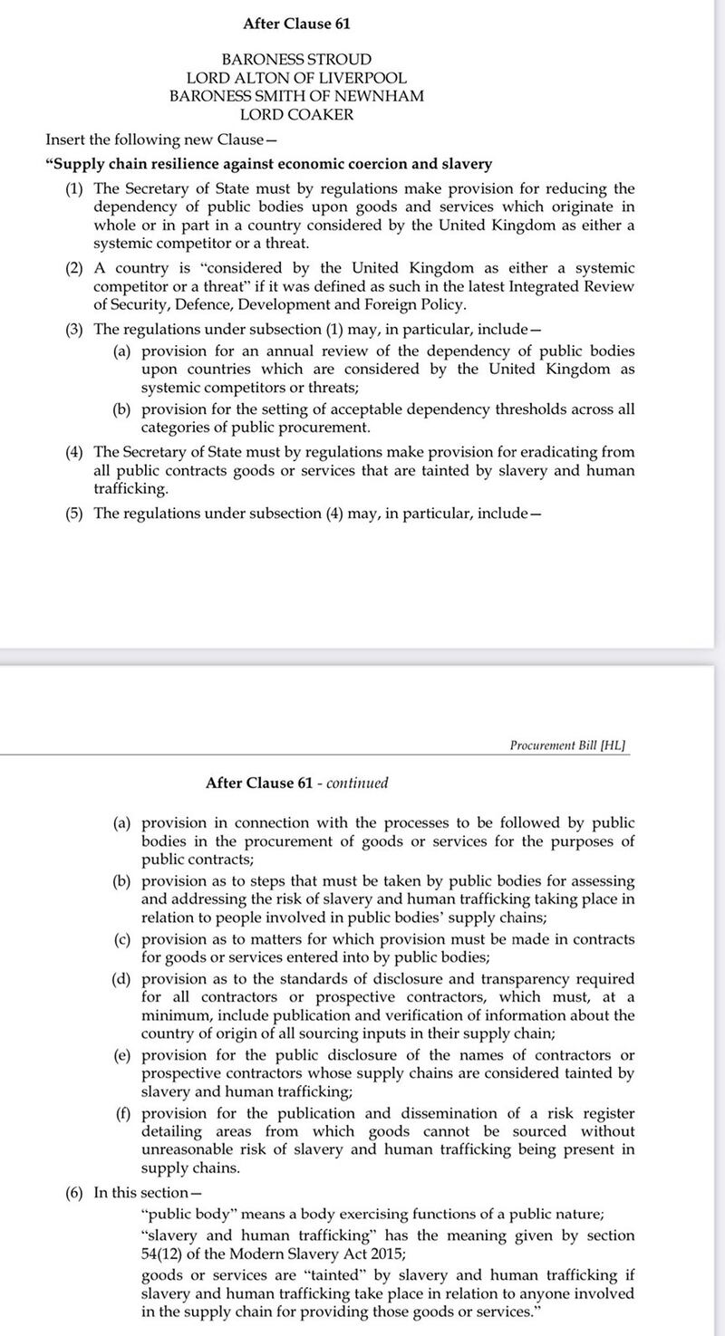 英国上议员斯特劳德男爵夫人(Baroness Stroud)就《采购法案》(Procurement Bill)提出的修订案 (裴伦德推特图片)