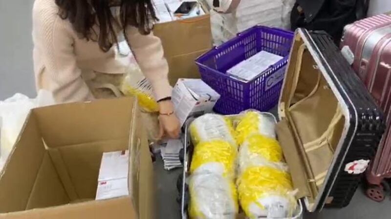 有來自大陸的自由行旅客在上水購買大批口罩。（李智智　攝）