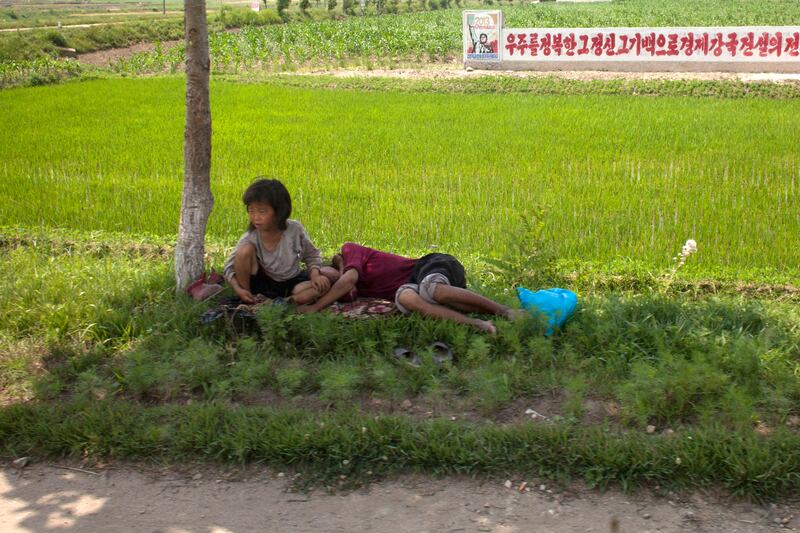 2013년 6월, 황해남도 신천군의 한 농장 근처 나무 그늘 아래에서 한 여성이 아이와 함께 쉬고 있다.