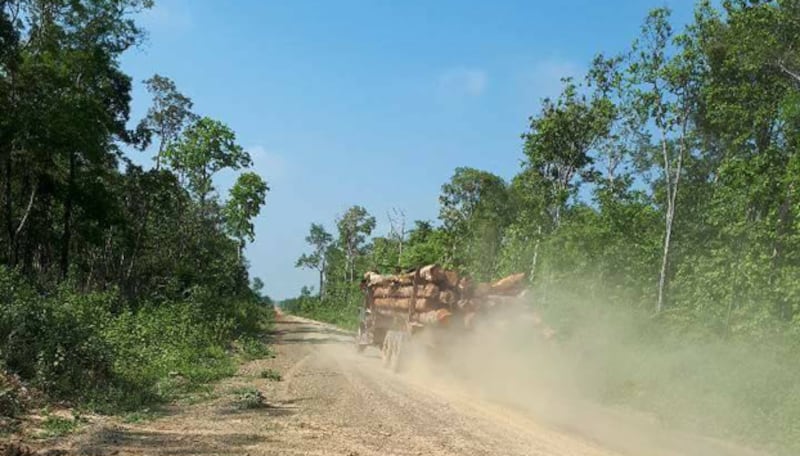 រថយន្ត​ដឹក​ឈើ​របស់​ក្រុមហ៊ុន​ស៊ីបាយអូថេក (Ci-Biotech) កាល​ពី​ដើម​ខែ​មិថុនា ឆ្នាំ​២០១៨។ 
