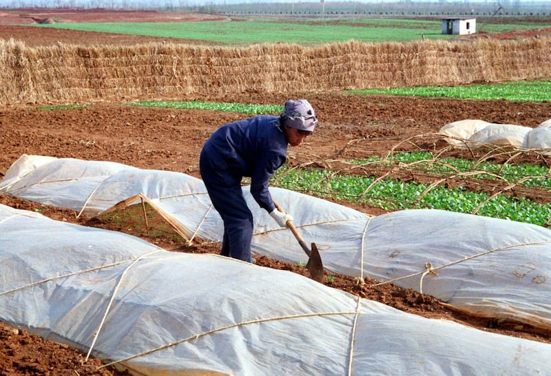 북한 비닐 원재료 확보 비상