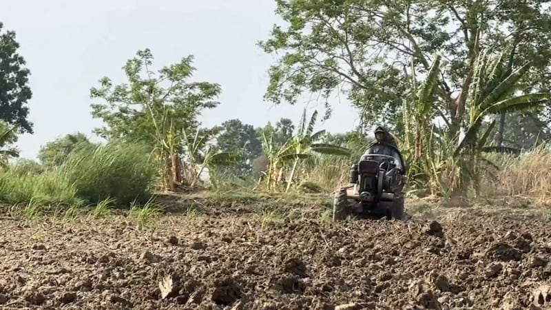 မိုခါဆိုင်ကလုန်းမုန်တိုင်းကြောင့် ပျက်စီးသွားသည့် မကွေးတိုင်း၊ မင်းဘူးခရိုင်၊ စကုမြို့နယ်မှ နှမ်းစိုက်ခင်းတစ်ခုကို ၂၀၂၃ ခုနှစ်၊ မေလ ၂၁ ရက်နေ့က တွေ့ရစဉ်။ (Photo: RFA)
