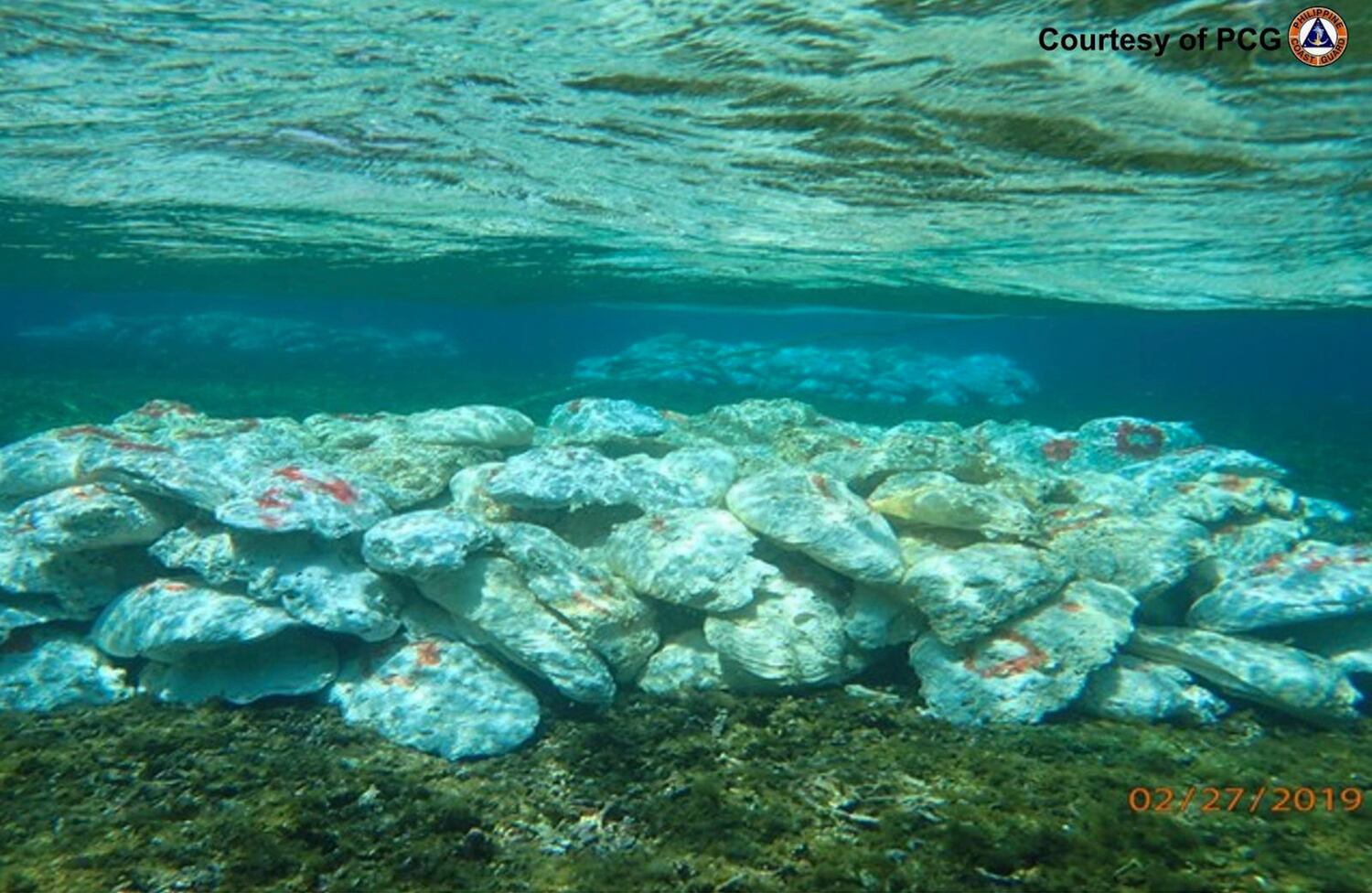 Giant clams marked and collected in piles by Chinese militia for harvesting in the Scarborough Shoal in the South China Sea, on Feb. 27, 2019, in photo provided by the Philippine Coast Guard.