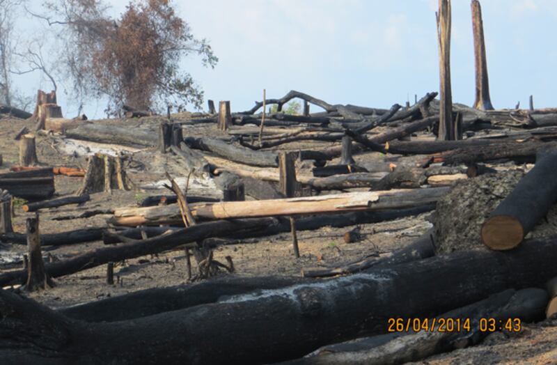 ២៦-មេសា-២០១៤៖ សកម្មភាពកាប់បំផ្លាញព្រៃឈើក្នុងភូមិពូគង់ ឃុំស្រែព្រះ ស្រុកកែវសីមា ដែលត្រូវក្រុមហ៊ុនកាប់ទន្ទ្រានលើដីសហគមន៍របស់ជនជាតិដើមភាគតិចព្នង ខេត្តមណ្ឌលគិរី។