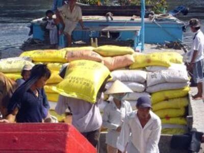 Việt Nam hiện có hàng trăm DN sản xuất phân bón