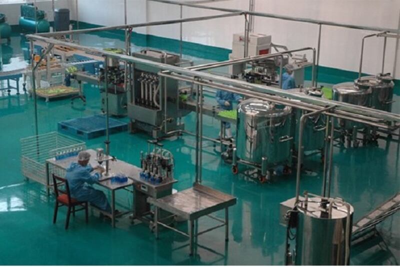fruit_factory.jpg