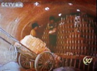 slavelabor-c-200.jpg