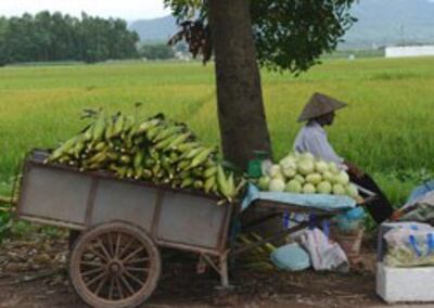 Một nông dân Việt Nam. AFP photo 